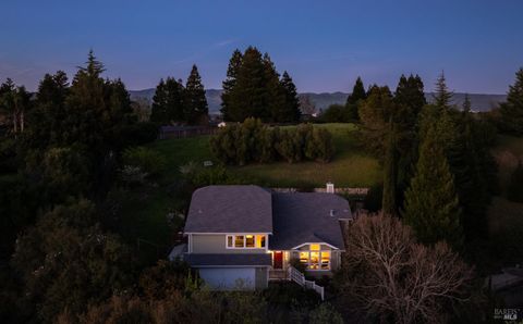 Photo of 3344 Linda Mesa Way, Napa, CA 94558 (MLS # 326021861)