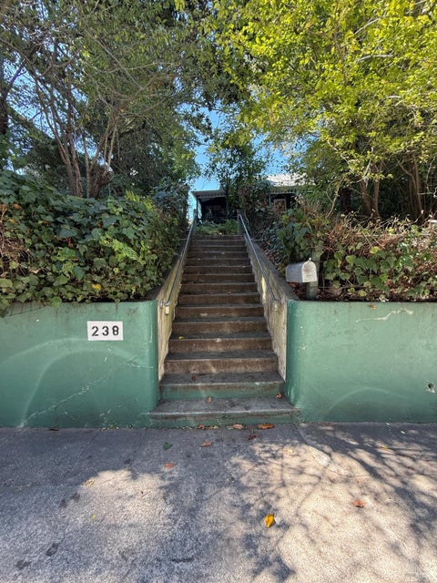 Photo of 238 Throckmorton Avenue, Mill Valley, CA 94941 (MLS # 326067481)