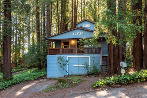Photo of 14529 Redwood Lane, Guerneville, CA 95446 (MLS # 326022782)