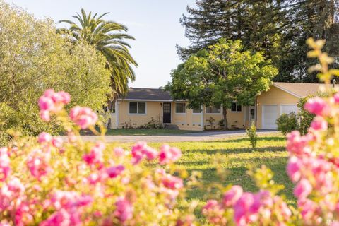 Photo of 5163 Todd Road, Sebastopol, CA 95472 (MLS # 326046143)