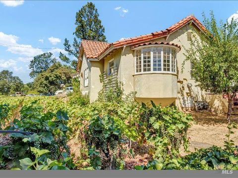 Photo of 315 N White Cottage Road N, Angwin, CA 94508 (MLS # 326026639)