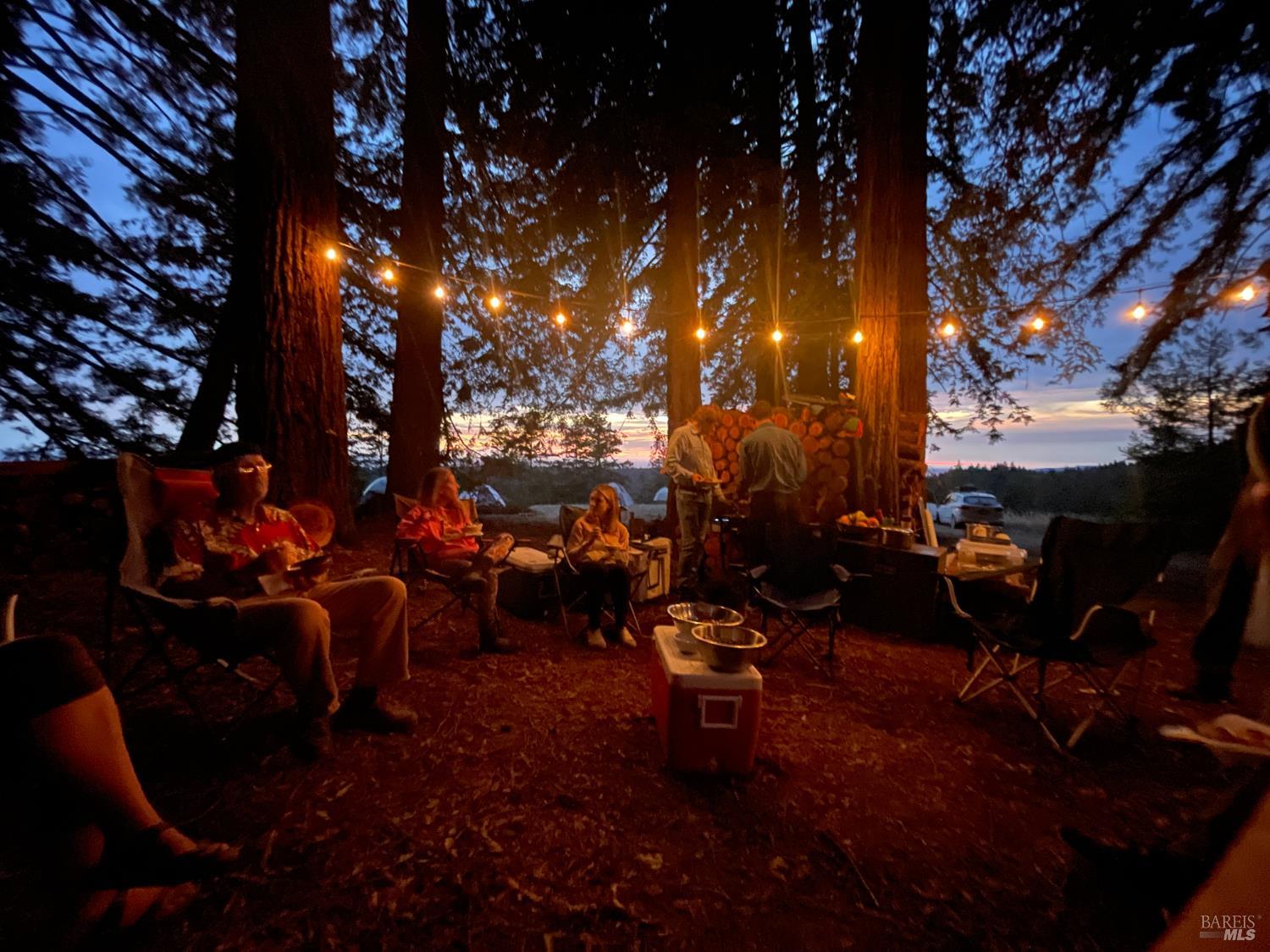 31010 Stewarts Point-Skaggs Springs Road