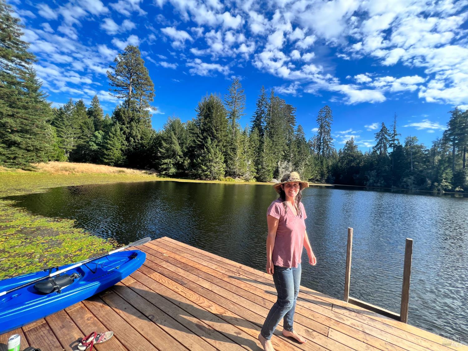 31010 Stewarts Point-Skaggs Springs Road