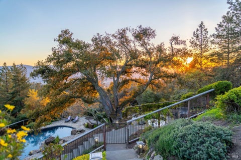 Photo of 568 Sunset Drive, Angwin, CA 94508 (MLS # 325089890)