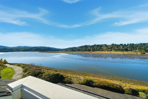 Photo of 6041 Shelter Bay Avenue, Mill Valley, CA 94941 (MLS # 325102475)