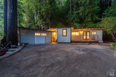 Photo of 14783 Armstrong Woods Road, Guerneville, CA 95446 (MLS # 326028762)