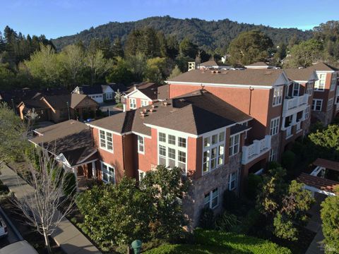 Photo of 20 Camellia Circle, Larkspur, CA 94939 (MLS # 326022086)