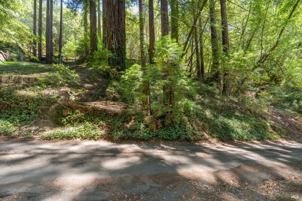 15192 CANYON 6 RD, GUERNEVILLE, CA 95446 - Image 4f016a3d56eb220bb52b09b2faebd3f0/2294263046
