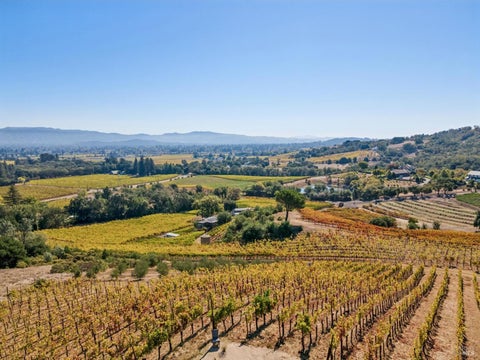 Photo of 4133 Dry Creek Road, Napa, CA 94558 (MLS # 326084458)