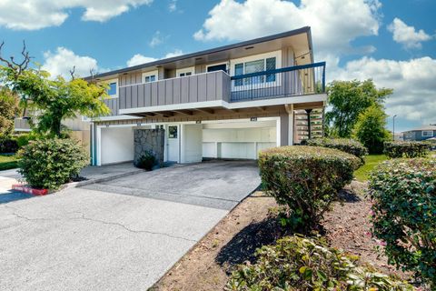 Photo of 247 Bahia Place, San Rafael, CA 94901 (MLS # 326028846)