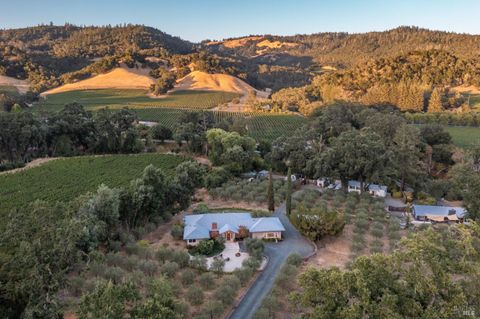 Photo of 601 Rossi Road, Saint Helena, CA 94574 (MLS # 326007591)