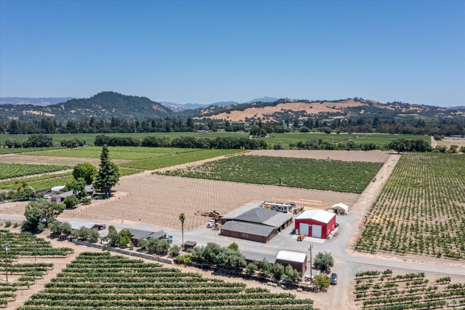 1558 Magnolia Drive
