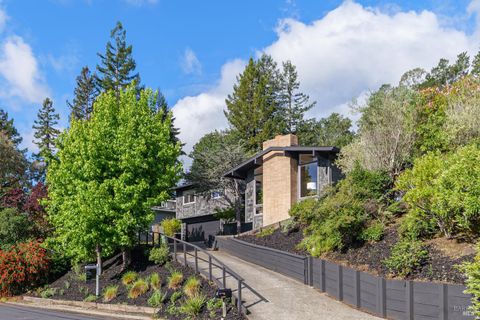 Photo of 9 Underhill Road, Mill Valley, CA 94941 (MLS # 326030809)