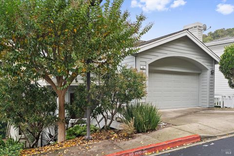 Photo of 46 Laurel Glen Terrace, San Rafael, CA 94903 (MLS # 326041210)