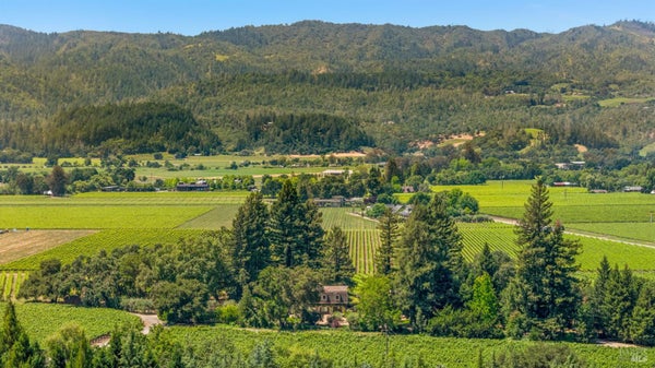 999 MEE LN, SAINT HELENA, CA 94574 - Image 6a99cfc5dd15689e40b6bdb67b5fc922/3715519291