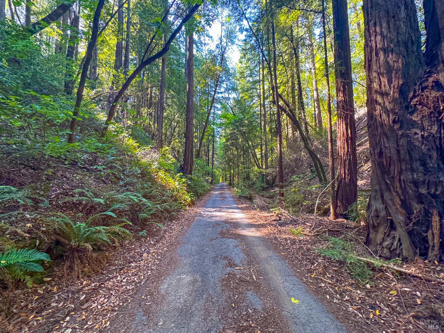 3150 Mill Creek Road