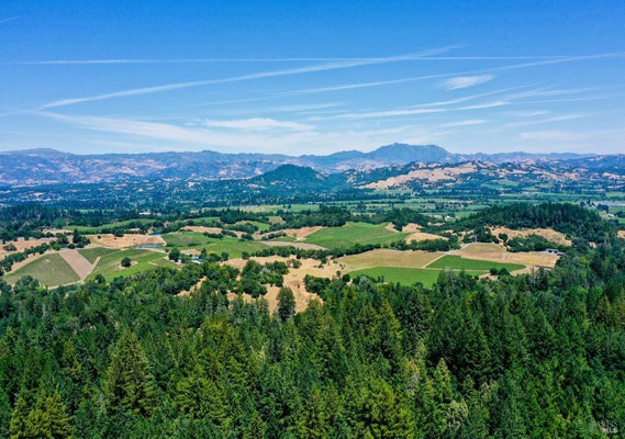 3150 MILL CREEK RD, HEALDSBURG, CA 95448 - Image 6cbbd87235b384a06dfddcc74ec2a8e9/502227074