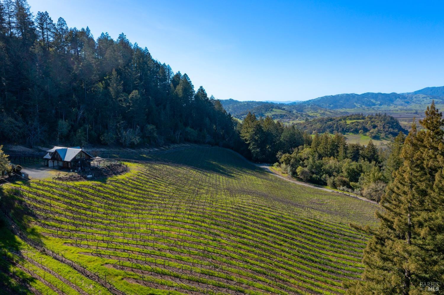 18276 Hwy 128