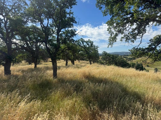COUNTY RD 34, WINTERS, CA 95694 - Image 71877cdc8f284b1ed0f6db09da50b4c2/131609180