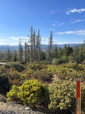 29956 BOOTH CROSSING RD, POTTER VALLEY, CA 95469 - Image 7561595ce0be55eb1349d0ea065f4f4f/4028664730