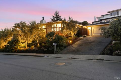Photo of 151 Oak Springs Drive, San Anselmo, CA 94960 (MLS # 326019233)