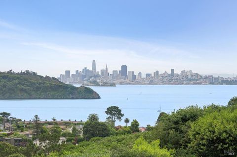 Photo of 121 Red Hill Circle, Tiburon, CA 94920 (MLS # 326032161)