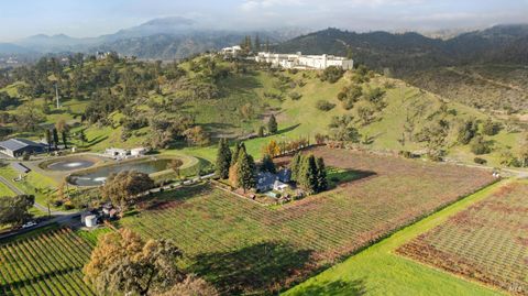 Photo of 4188 Saint Helena Highway, Calistoga, CA 94515 (MLS # 325102032)