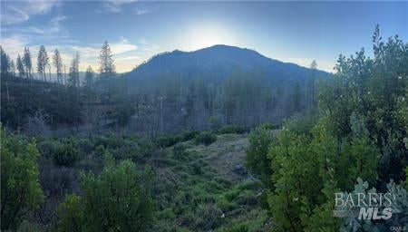 16789 STARVIEW LOOP RD, COBB, CA 95426 - Image 79129bb2c07ccf8d51e0564bbe320d1d/2398093672
