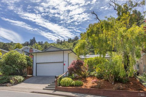 Photo of 145 Irwin Street, San Rafael, CA 94901 (MLS # 326029113)