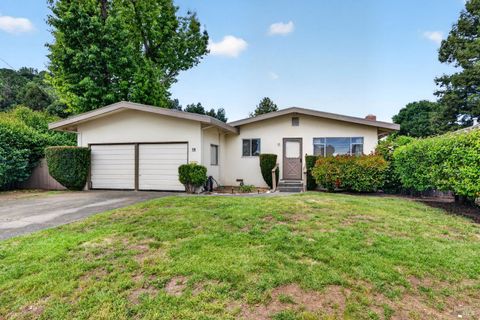 Photo of 19 Zanco Way, Novato, CA 94947 (MLS # 326025195)