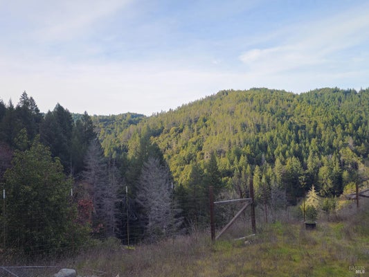 54240 WILDWOOD DR, LAYTONVILLE, CA 95454 - Image 7da250050fcf8a3c5cc01aae1135afff/666520105