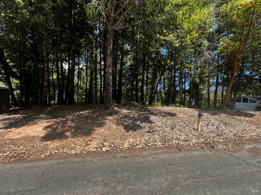 1670 LILAC LN, WILLITS, CA 95490 - Image 7eeaa053df2a8b1d964bb9f287f1e9e8/2939362368