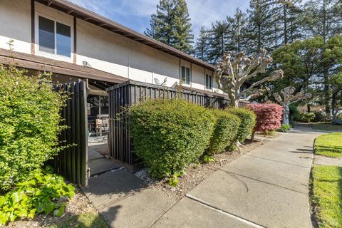 Photo of 3478 Willis Drive, Napa, CA 94558 (MLS # 326021049)
