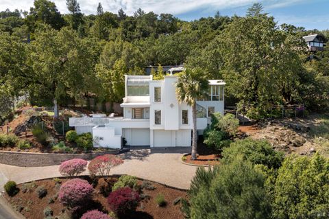 Photo of 200 Stuyvesant Drive, San Anselmo, CA 94960 (MLS # 326031729)