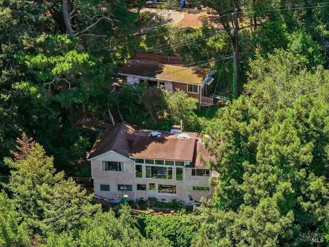Photo of 51 Monte Cimas Avenue, Mill Valley, CA 94941 (MLS # 326044695)