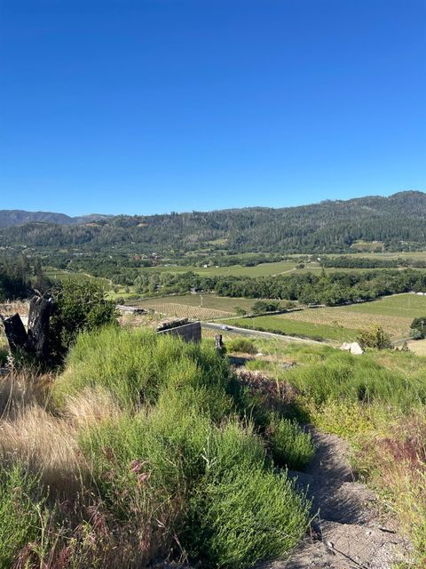 Photo of 3500 Silverado Trail N, Saint Helena, CA 94574 (MLS # 326037783)