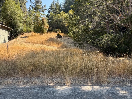 25521 MADRONE WAY, WILLITS, CA 95490 - Image 877545cb6b81dfb6ee4e2f1f2ced5e4b/354464404