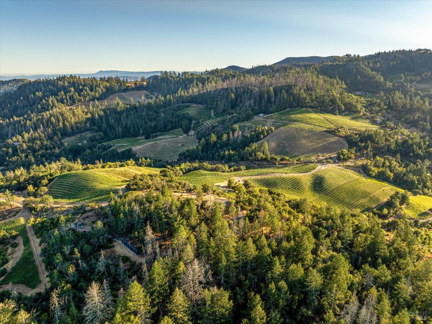 2340 Mount Veeder Road