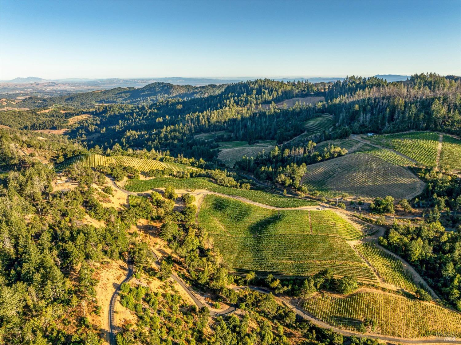 2340 Mount Veeder Road
