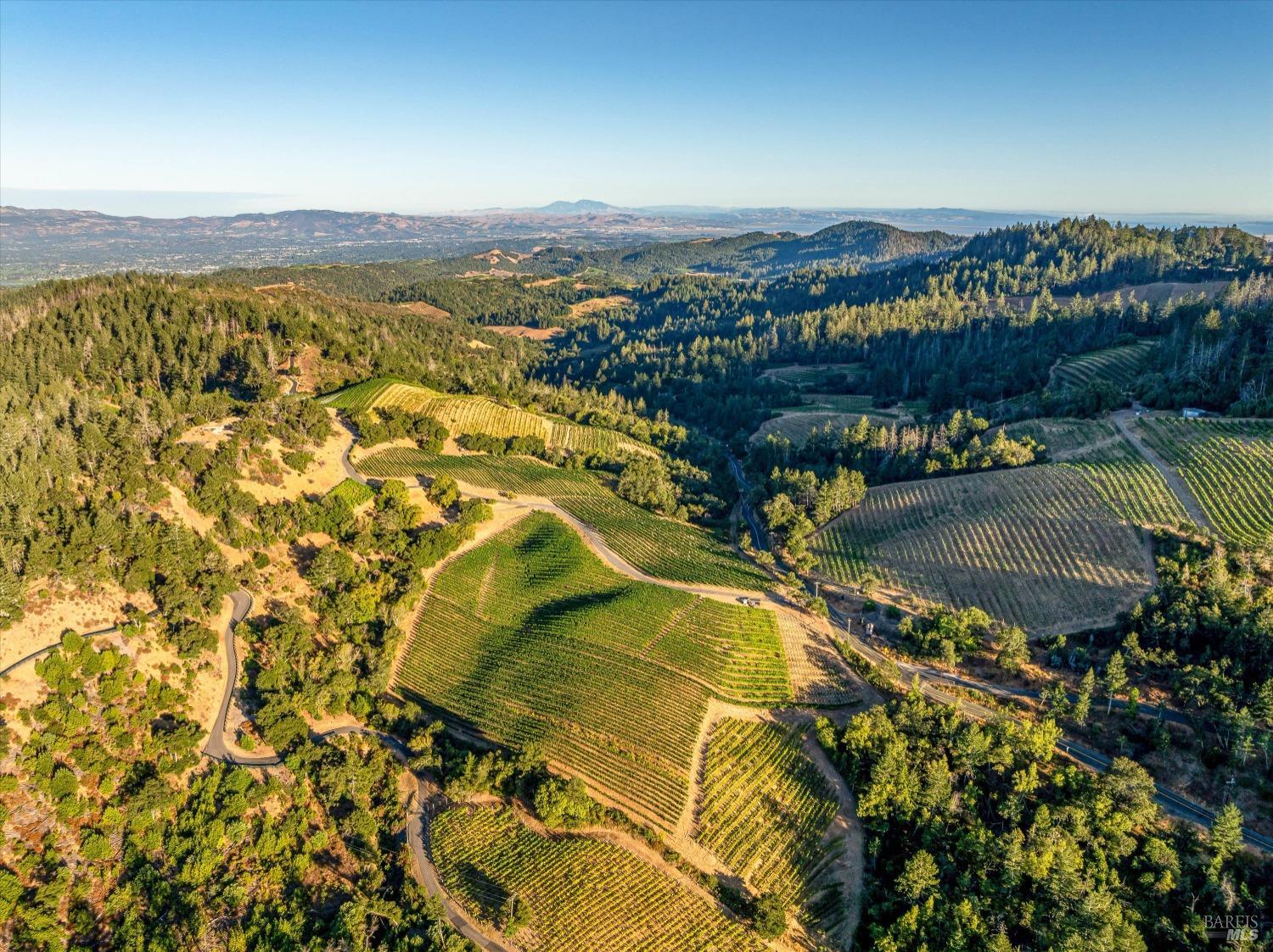 2340 Mount Veeder Road