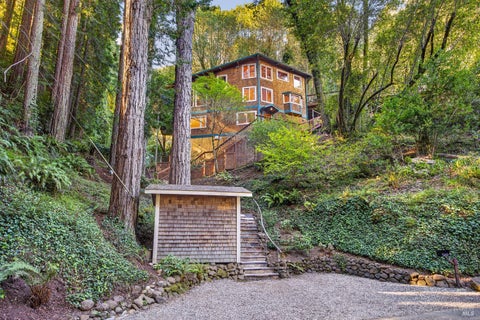 Photo of 569 Edgewood Avenue, Mill Valley, CA 94941 (MLS # 326086698)