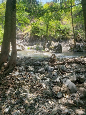 29890 MENDOCINO PASS RD, COVELO, CA 95428 - Image 8d8d0ac90a8e6bf75d36b70f5125bbe2/3455757990