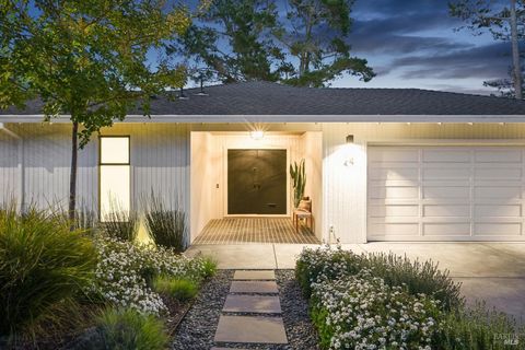 Photo of 24 Dominican Drive, San Rafael, CA 94901 (MLS # 326046555)