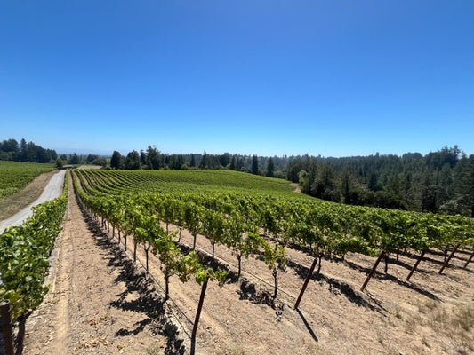 11480 GRATON RD, SEBASTOPOL, CA 95472 - Image 97da3bf7dec625542d33a38d7fa2f504/3668654004