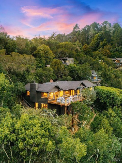 Photo of 191 Elinor Avenue, Mill Valley, CA 94941 (MLS # 326023860)