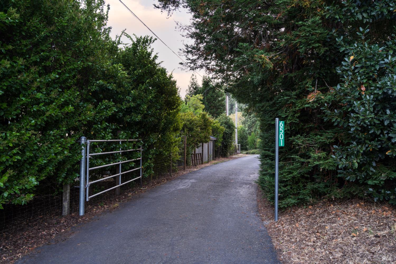 6501 Ellen Lane