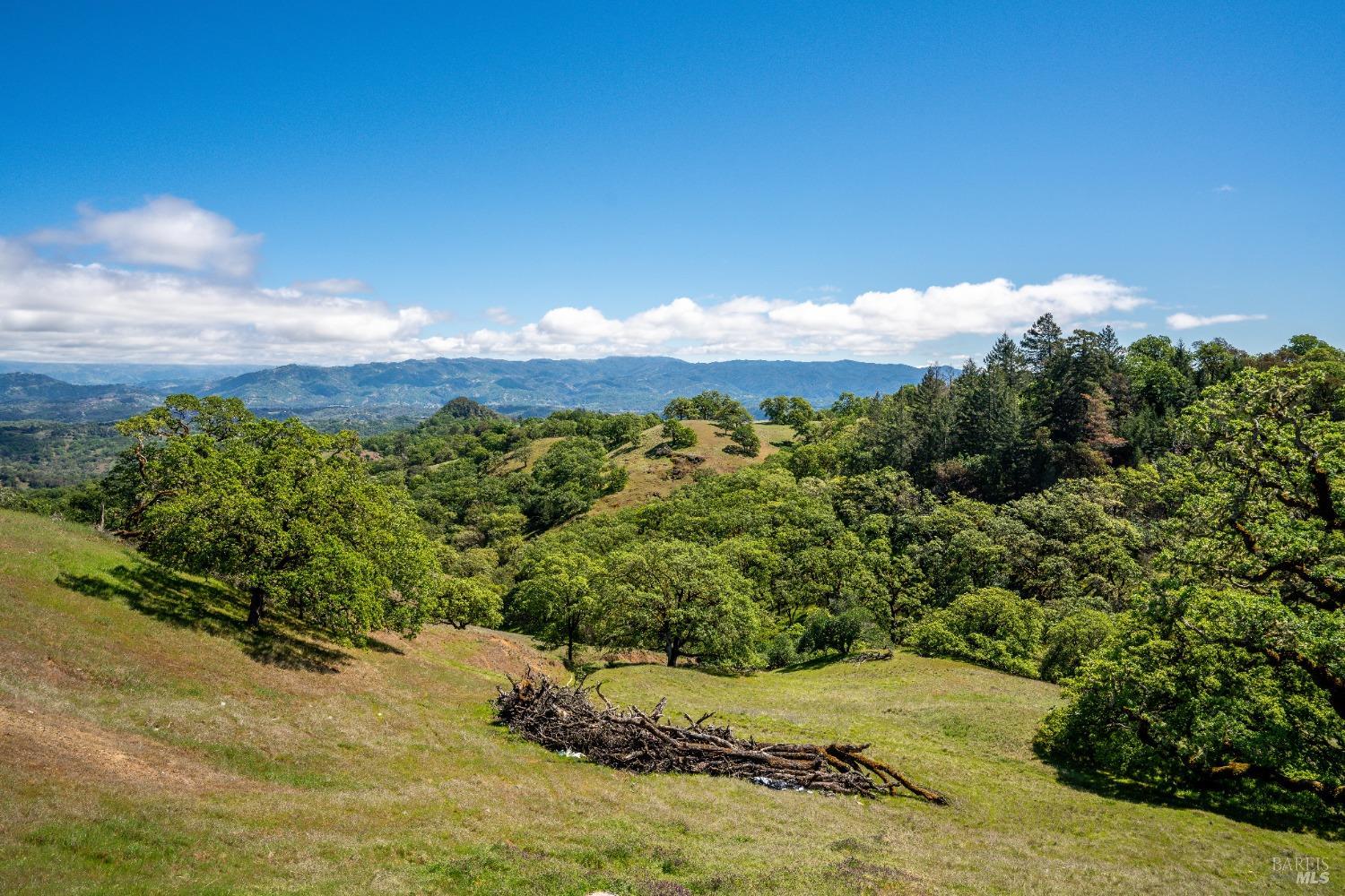 Ukiah, California, 95482, United States, 3 Bedrooms Bedrooms, ,3 BathroomsBathrooms,Residential,Active,2019494