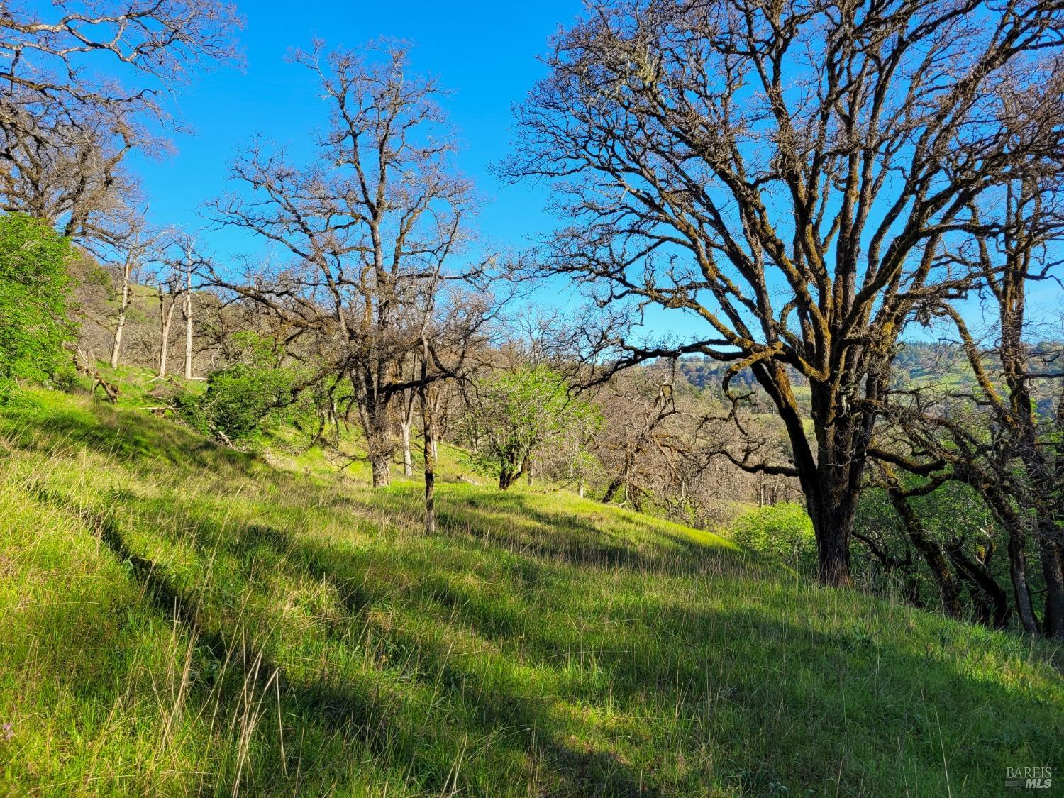 Ukiah, California, 95482, United States, 3 Bedrooms Bedrooms, ,3 BathroomsBathrooms,Residential,Active,2019494