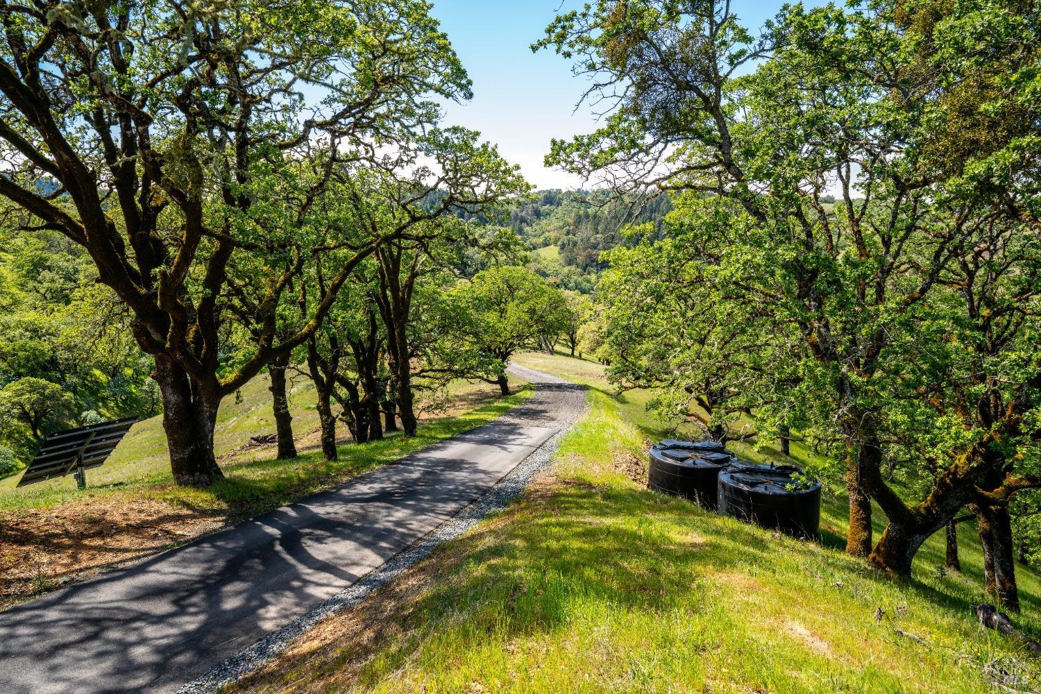 Ukiah, California, 95482, United States, 3 Bedrooms Bedrooms, ,3 BathroomsBathrooms,Residential,Active,2019494