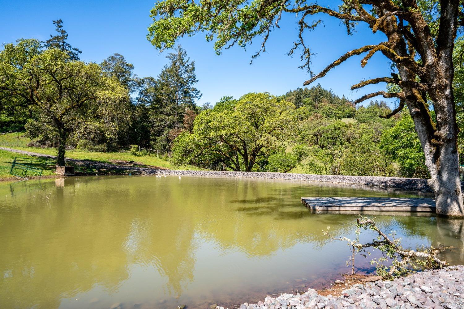 Ukiah, California, 95482, United States, 3 Bedrooms Bedrooms, ,3 BathroomsBathrooms,Residential,Active,2019494